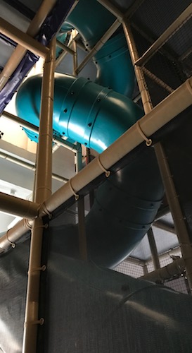 teal crazy slide from GoPlay