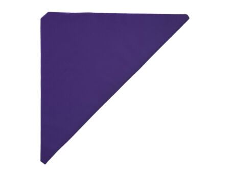 4ft x 4ft Triangle Floor Deck